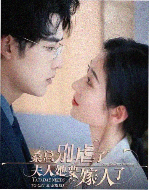 达达兔分类精选 - 我的解放日记
